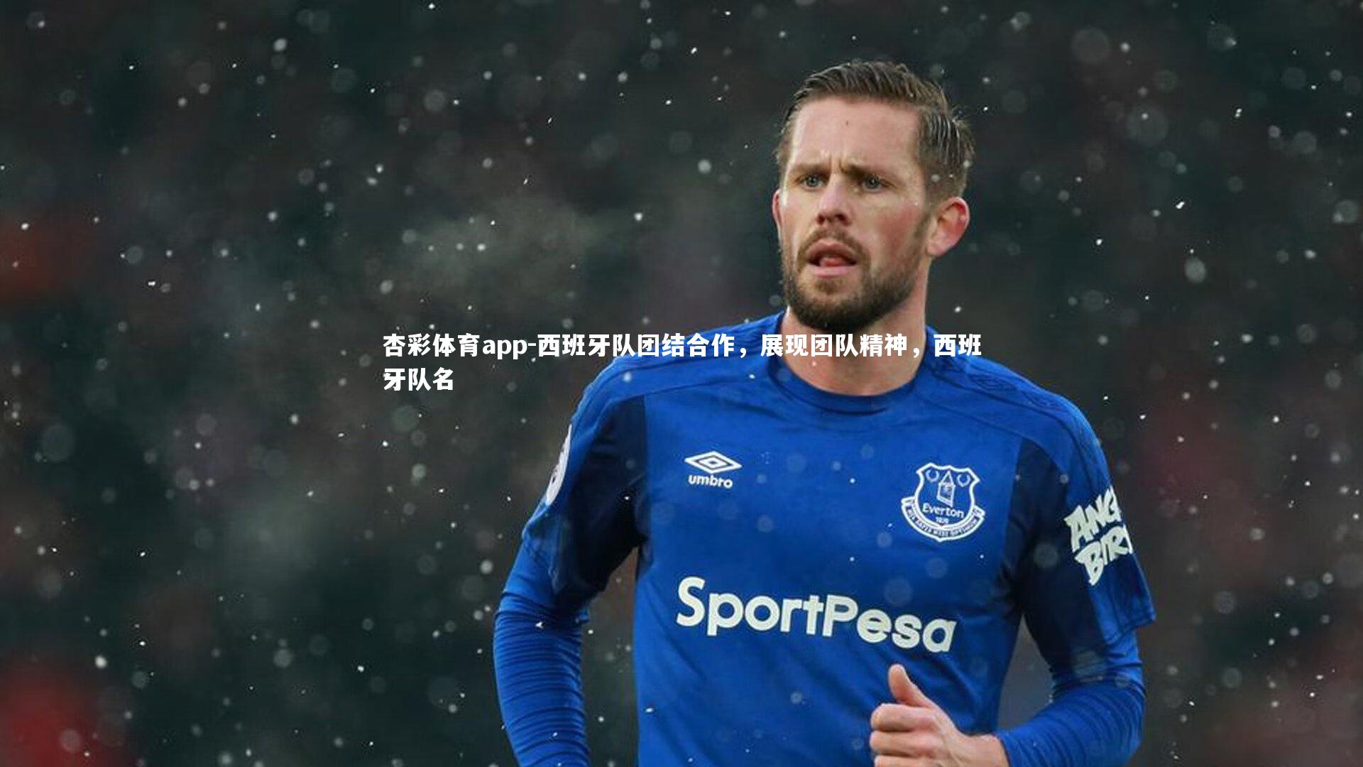 西班牙队团结合作，展现团队精神，西班牙队名