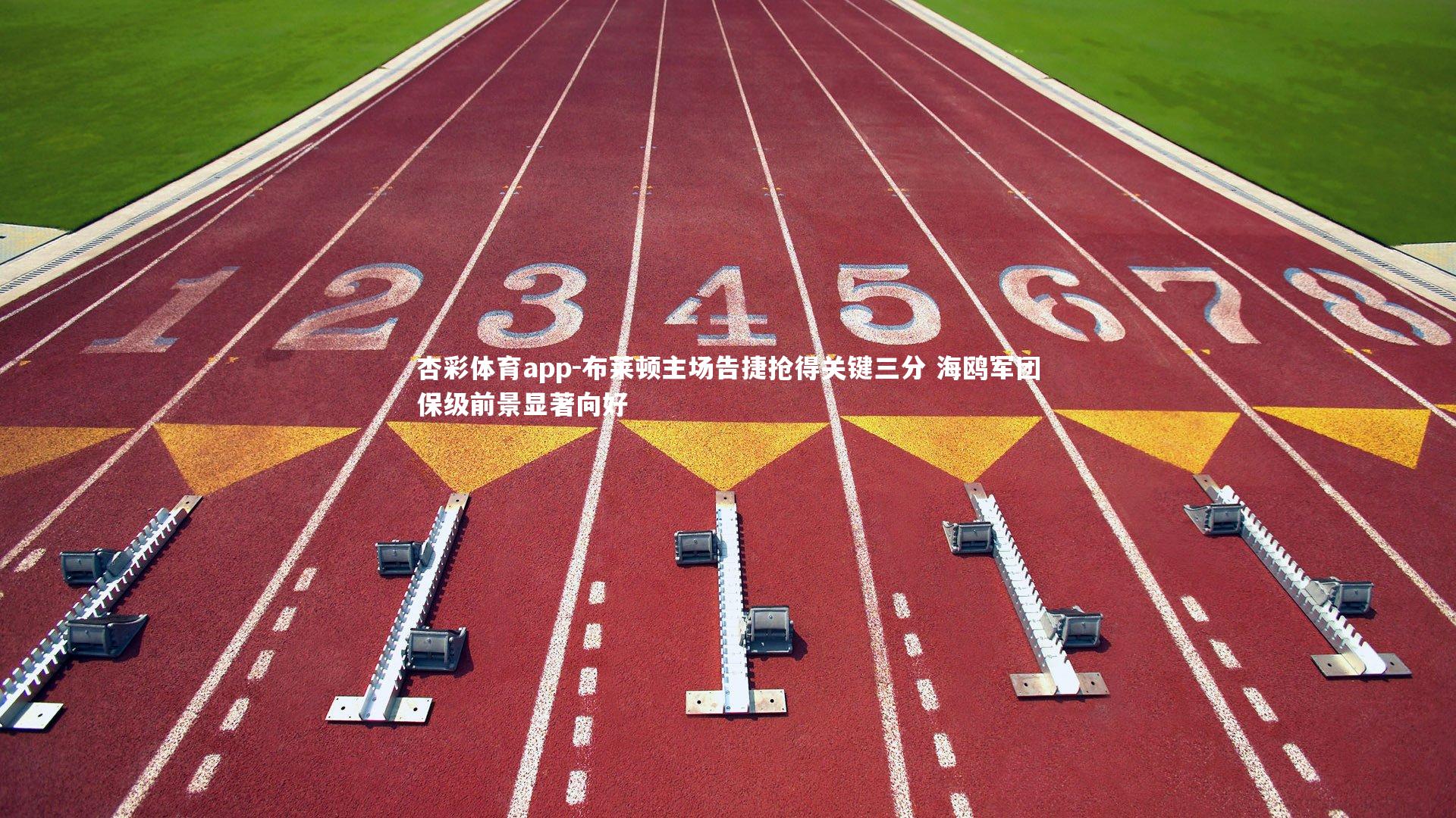 布莱顿主场告捷抢得关键三分 海鸥军团保级前景显著向好