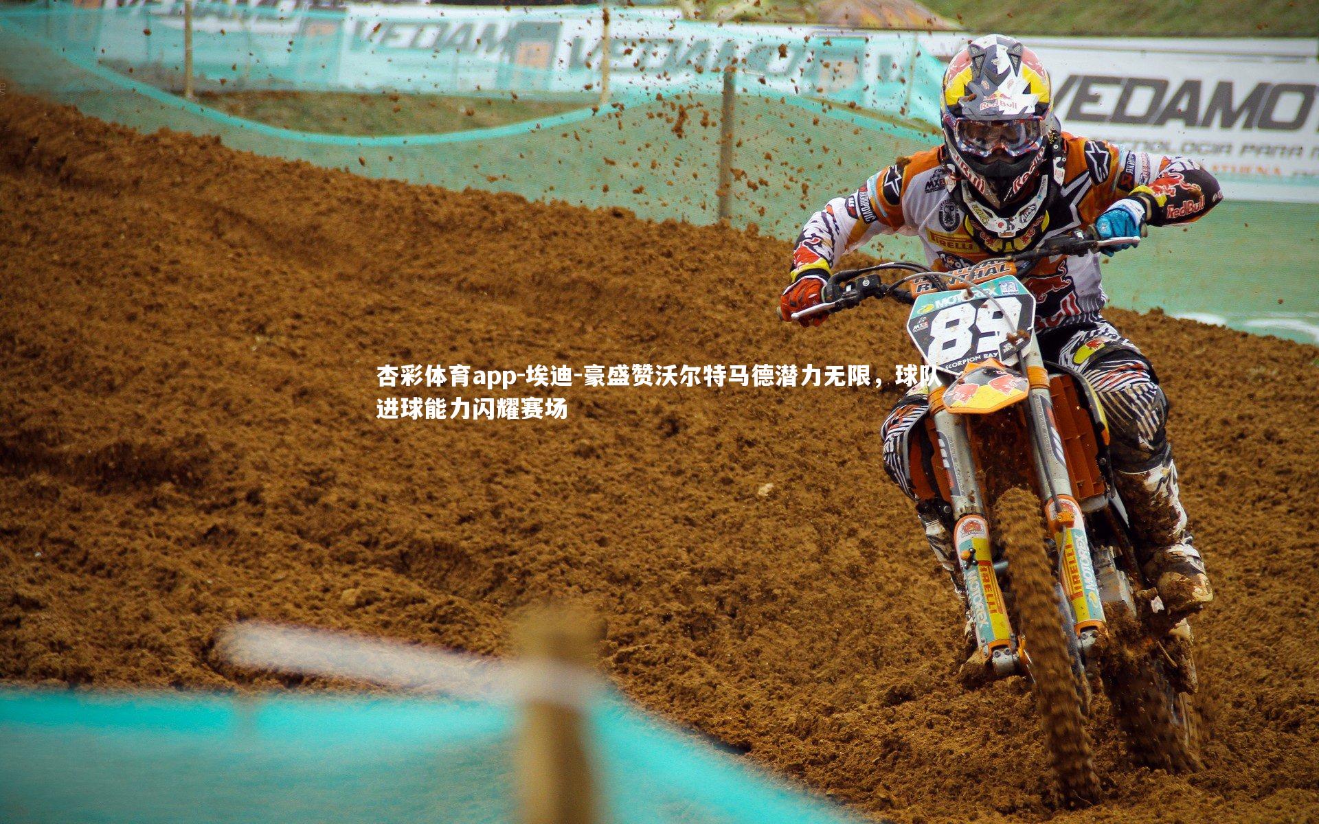 杏彩体育app-埃迪-豪盛赞沃尔特马德潜力无限，球队进球能力闪耀赛场